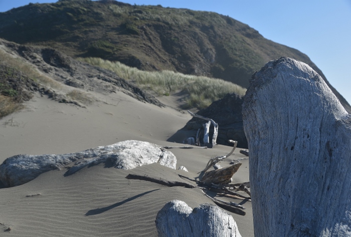 Lone Ranch Beach